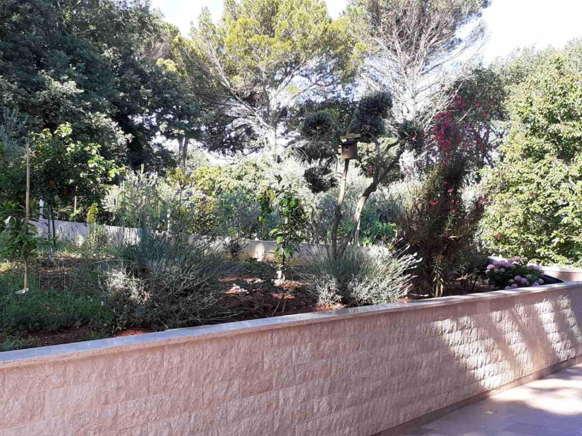 Apartments Marina-Mare Porec Ngoại thất bức ảnh